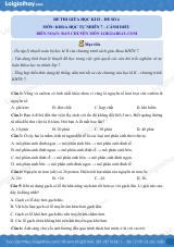 Đề thi giữa kì 2 KHTN 7 Cánh diều - Đề số 4